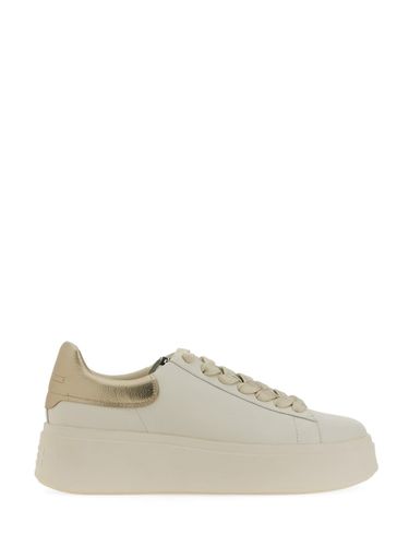 Ash moby 02 Sneaker - Ash - Modalova