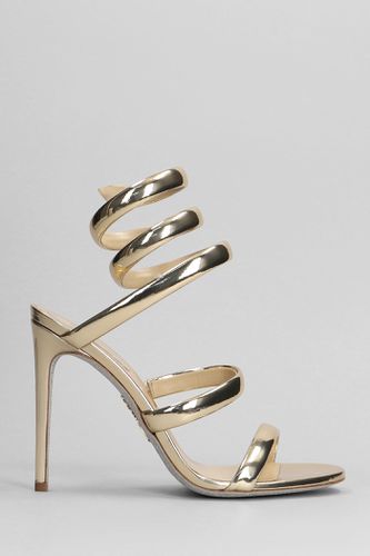 Serpente Sandals In Leather - René Caovilla - Modalova