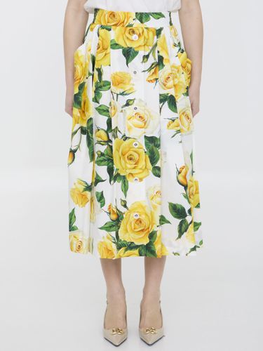 Rose-print Midi Skirt - Dolce & Gabbana - Modalova