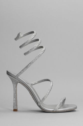 Cleo Sandals In Leather - René Caovilla - Modalova
