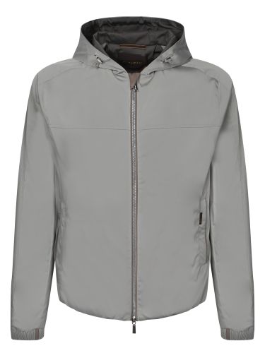 Albori Taupe/ Bomber Jacket - Moorer - Modalova