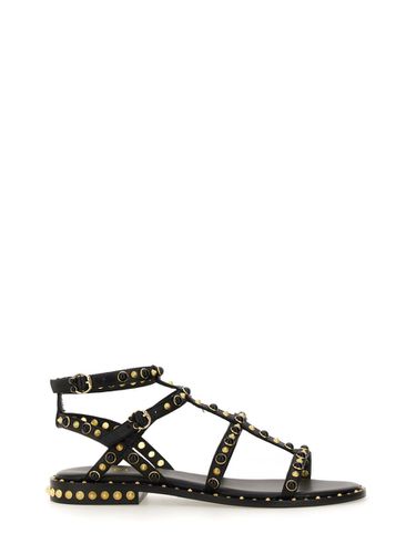 Ash Studded Sandal - Ash - Modalova