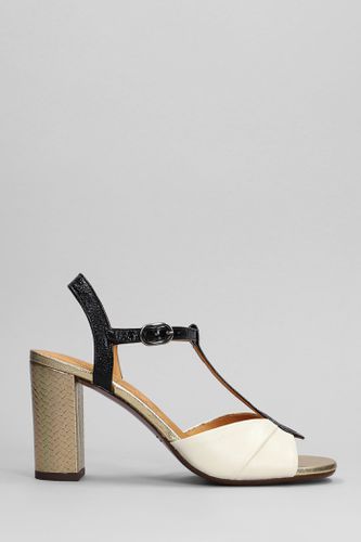 Biagio Sandals In Leather - Chie Mihara - Modalova