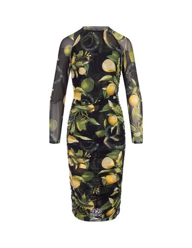 Midi Stretch Dress With Lemons Print - Roberto Cavalli - Modalova