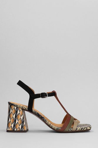 Piyata Sandals In Suede - Chie Mihara - Modalova