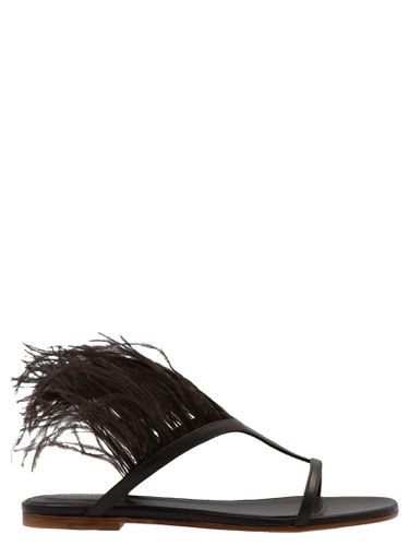 Pucci Feather Sandals - Pucci - Modalova