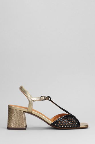 Lipico Sandals In Leather - Chie Mihara - Modalova