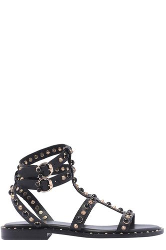 Passion Stud Embellished Sandals - Ash - Modalova