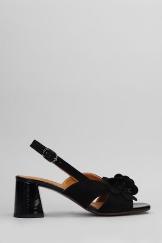 Chie Mihara Sandals In Black Suede - Chie Mihara - Modalova