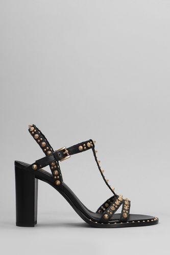 Ash Kiss Sandals In Black Leather - Ash - Modalova