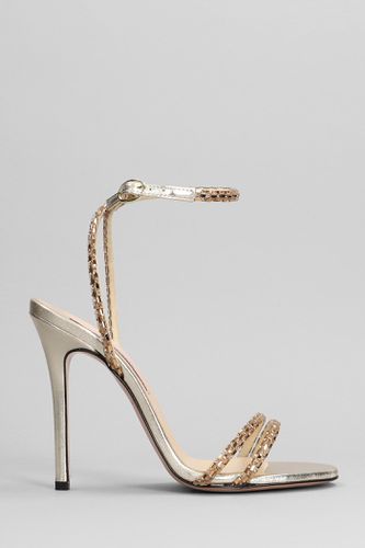 Azha Sandals In Leather - Marc Ellis - Modalova