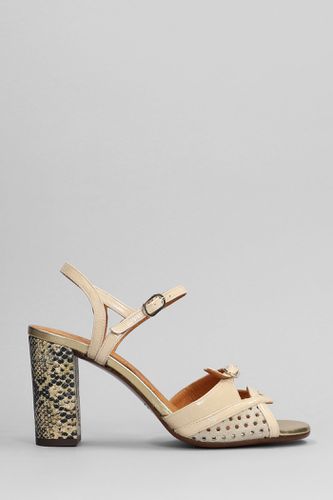 Bindi Sandals In Leather - Chie Mihara - Modalova