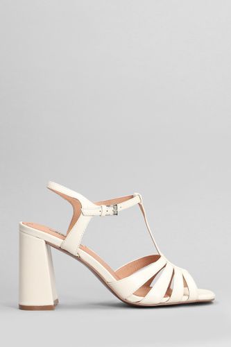 Azalea Sandals In Leather - Bibi Lou - Modalova