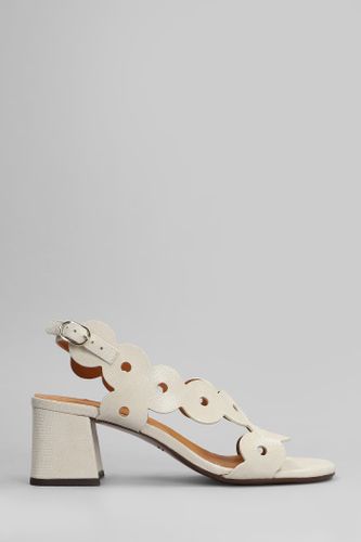 Sandals In Leather - Chie Mihara - Modalova