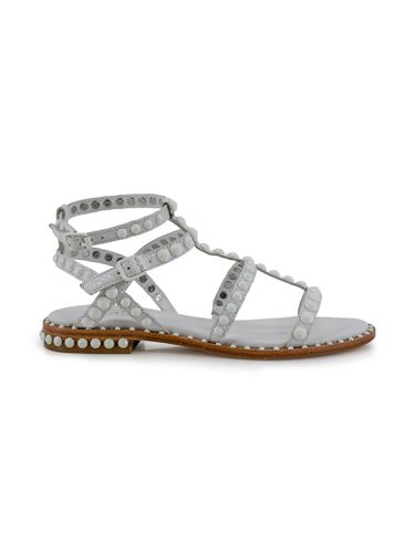 Ash Calfskin Sandal - Ash - Modalova