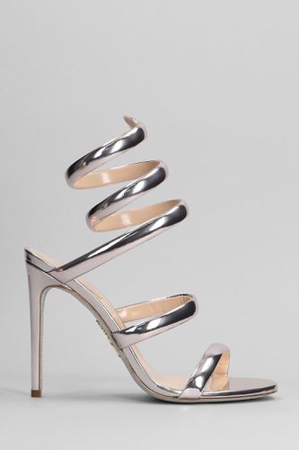 Serpente Sandals In Leather - René Caovilla - Modalova