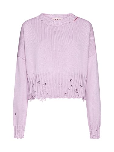 Marni Sweater - Marni - Modalova