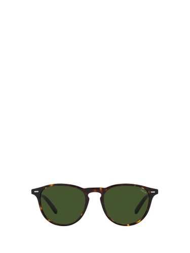 Ph4181 Shiny Dark Havana Sunglasses - Polo Ralph Lauren - Modalova