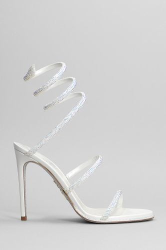 Sandals In White Leather - René Caovilla - Modalova