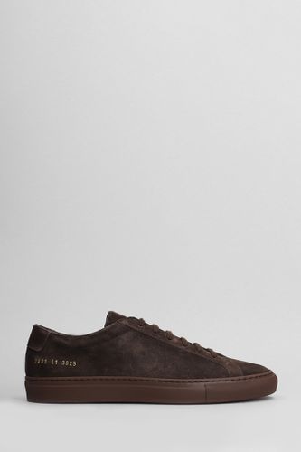 Original Achilles Sneakers In Suede - Common Projects - Modalova