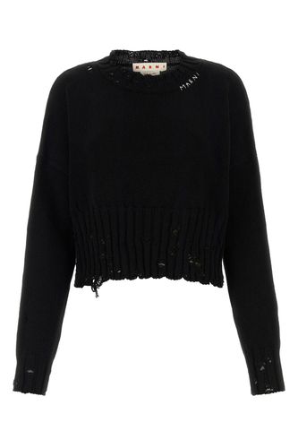 Marni Black Cotton Sweater - Marni - Modalova