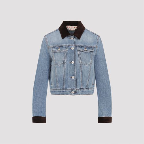 Washed Bull Denim Trucker Cropped Jacket - Marni - Modalova