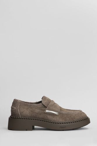 Ash Medusa Loafers In Brown Suede - Ash - Modalova