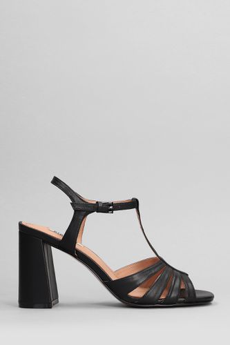 Azalea Sandals In Leather - Bibi Lou - Modalova