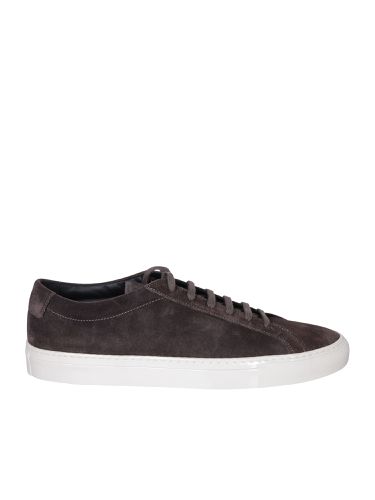 Achille Low Sneakers In - Common Projects - Modalova