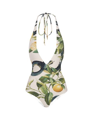 Ivory Bodysuit With Lemons Print - Roberto Cavalli - Modalova