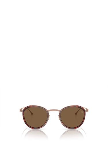 Ar6148t Shiny Havana Sunglasses - Giorgio Armani - Modalova