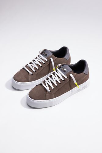 Low Top Sneaker - Essence Oil Beige White - Hide & Jack - Modalova