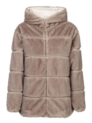 Moncler Brissac Ivory Jacket - Moncler - Modalova