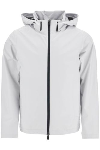 Light Gray Polyester Waterproof Bomber With Hood - Herno - Modalova