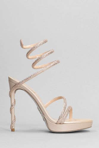 Margot Sandals In Leather - René Caovilla - Modalova