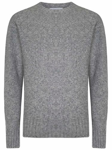 Cruciani Sweater - Cruciani - Modalova