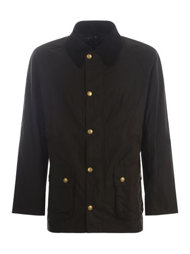 Jacket Barbour ashby In Cotton - Barbour - Modalova