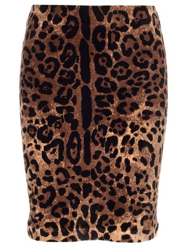 Mini Skirt With Leopard Motif - Dolce & Gabbana - Modalova