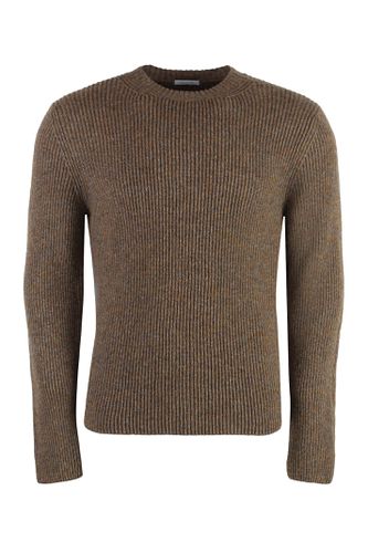 Malo Ribbed Sweater - Malo - Modalova