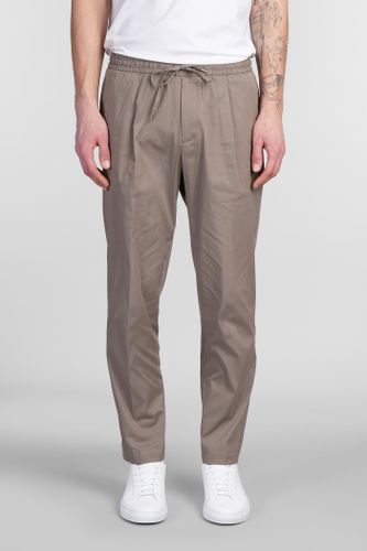 Wimbledons Pants In Cotton - Briglia 1949 - Modalova