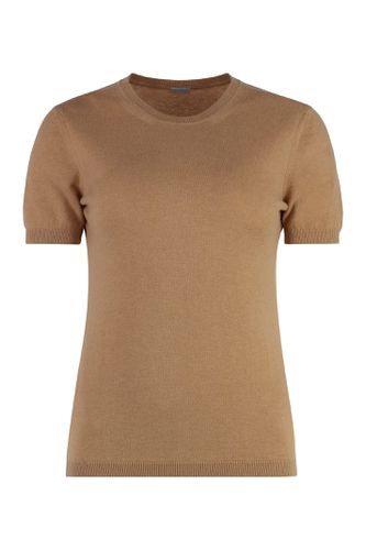 Malo Short Sleeve Sweater - Malo - Modalova