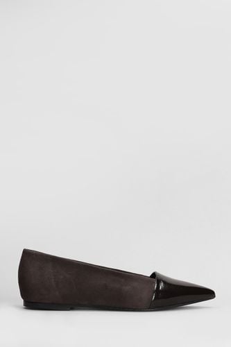 Ballet Flats In Dark Brown Suede - Fabio Rusconi - Modalova