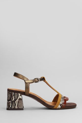 Laluce Sandals In Leather Color Suede And Leather - Chie Mihara - Modalova