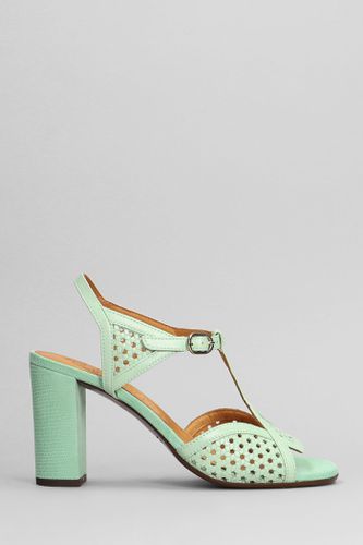 Bessy Sandals In Leather - Chie Mihara - Modalova