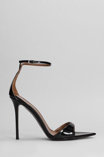 Intriigo Strap 105 Sandals In Leather - Giuseppe Zanotti - Modalova