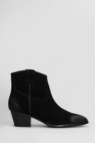 Fame Texan Ankle Boots In Suede - Ash - Modalova