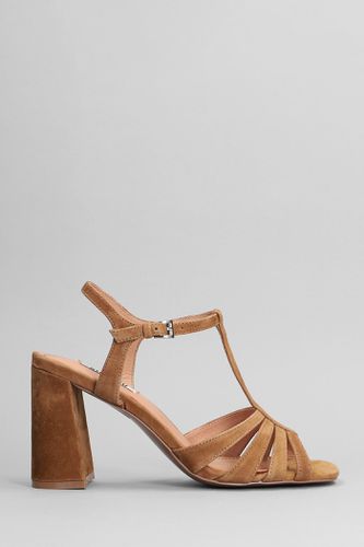 Azalea Sandals In Leather Color Suede - Bibi Lou - Modalova