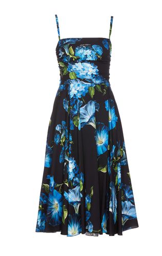 Bluebell Print Dress - Dolce & Gabbana - Modalova