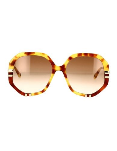 Chloé Havana/brown West Sunglasses - Chloé - Modalova