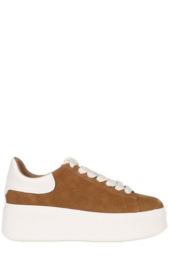 Ash Moby Platform Lace-up Sneakers - Ash - Modalova